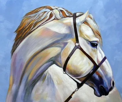 Белая лошадь - 51 фото - картинки: смотреть онлайн | Лошади в природе |  Постила