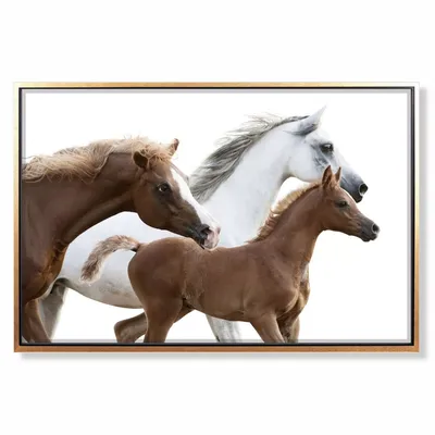 Интерьерная картина \"Белая лошадь\" 30*40 см - купить по низкой цене в  интернет-магазине OZON (1224363693)