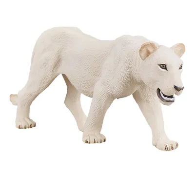 Белая львица греется на солнышке. | Пикабу