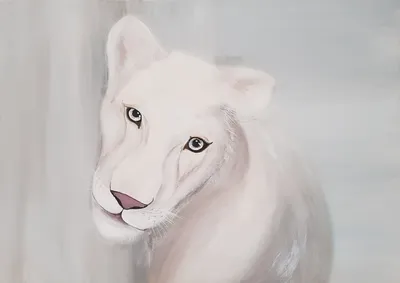 Белая львица в приморском зоопарке отказалась от своего котенка - KP.RU