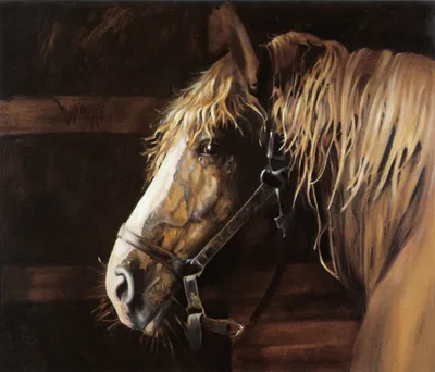 красивейшая бельгийская лошадь Стоковое Изображение - изображение  насчитывающей лошадь, бег: 967329