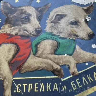 Мультик «Белка и Стрелка. Звёздные собаки» – детские мультфильмы на канале  Карусель