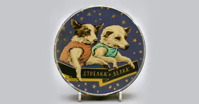 Белка и Стрелка – первые собаки в космосе