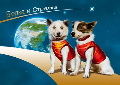Белка и Стрелка: первые собаки в космосе» — создано в Шедевруме