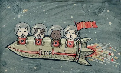 Белка и Стрелка - знаменитые советские собаки, которым досталась слава всех  животных-космонавтов