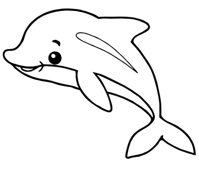 Беломордый дельфин фото фотографии