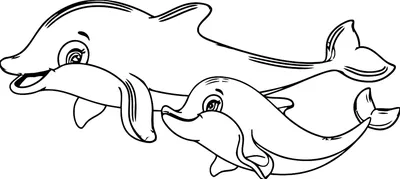 серый дельфин как вектор подводного моря Иллюстрация штока - иллюстрации  насчитывающей франтовск, ангстрома: 228218364