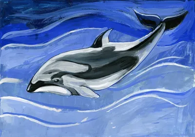 беломордый дельфин | Дельфины, Живопись, Кит