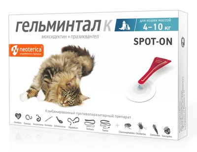 Чем проглистогонить кота? - обсуждение на форуме НГС Новосибирск