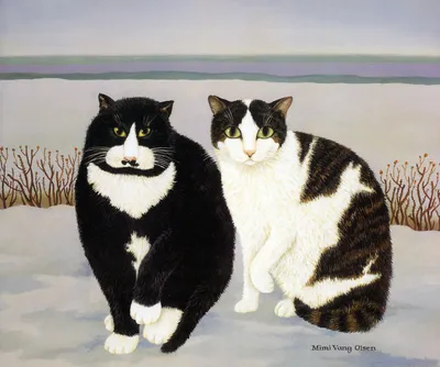 Обои Чёрно-белые коты, №psh_00001384 купить на стену в интернет-магазине  Walldeco