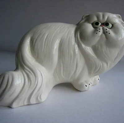 Персидская кошка: фото, характер, описание породы