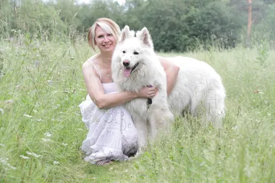 Белые собаки — 20 пород с названиями - Prosobak.net