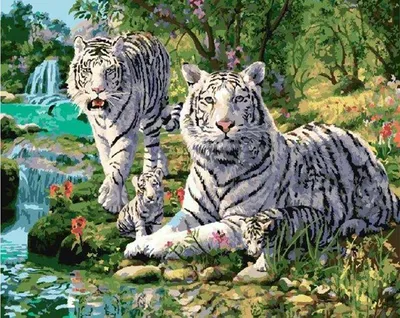 Онлайн пазл «Белые тигры »