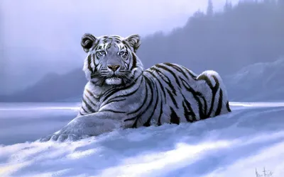 белый сибирский тигр иллюстрация штока. иллюстрации насчитывающей бело -  272318698