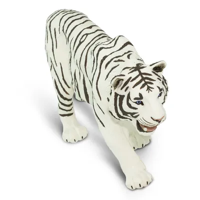 Сибирский тигр с белым мехом арт - 49 фото