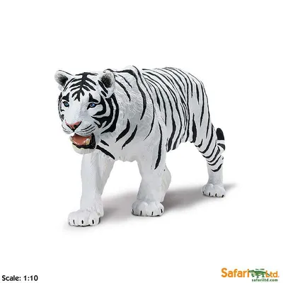 белый тигр сидит и ярко смотрит на камеру Стоковое Изображение -  изображение насчитывающей индия, леопард: 272751505