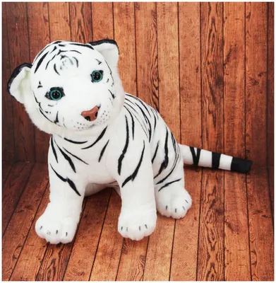 Амурский тигр белый - красивые фото