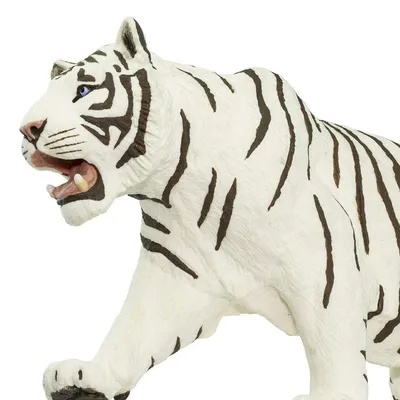 Тигр Животное Млекопитающее Белый - Бесплатное фото на Pixabay - Pixabay