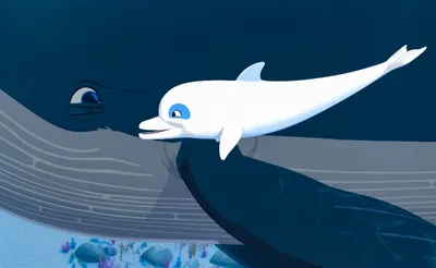 большой белый дельфин плавает, картинка белухи, белуга, кит фон картинки и  Фото для бесплатной загрузки