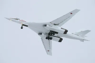 Охота за \"Белым лебедем\": что убедило США в превосходстве Ту-160 -  Российская газета