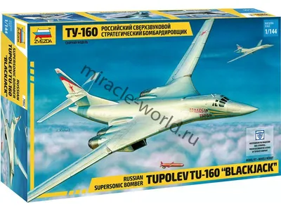 Боевой \"Белый лебедь\" Ту-160 может стать сверхзвуковым пассажирским  авиалайнером - KP.RU
