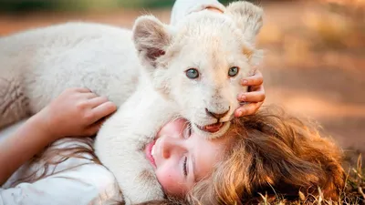 В парке «Белый лев» погибла белая львица | ОБЩЕСТВО | АиФ Владивосток