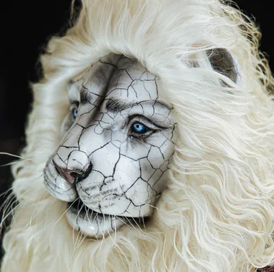 Обзор фильма «Миа и белый лев»
