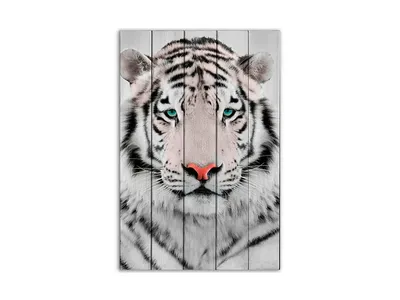 Крадущийся белый тигр белый тигр с…» — создано в Шедевруме