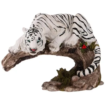 Белый Тигр (Panthera Tigris), Бенгальский Тигр, Лев Panthera В Сингапурском  Зоопарке. Фотография, картинки, изображения и сток-фотография без роялти.  Image 75615119
