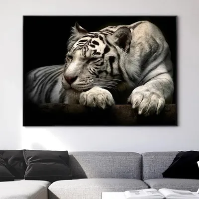 Бесплатные стоковые фото на тему белый тигр, дерево, животное, животные в  дикой природе, квадратный формат, лежащий