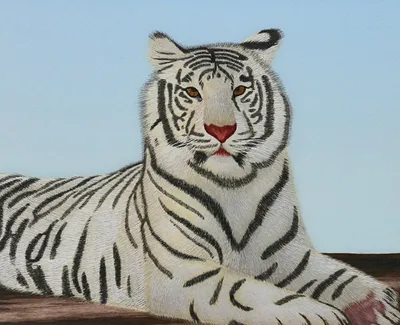 6,2 дюймовые фигурки белого тигра из ПВХ, 14731 Дикая жизнь, животные,  развивающие игрушки существа для детей, мальчики и девочки | AliExpress
