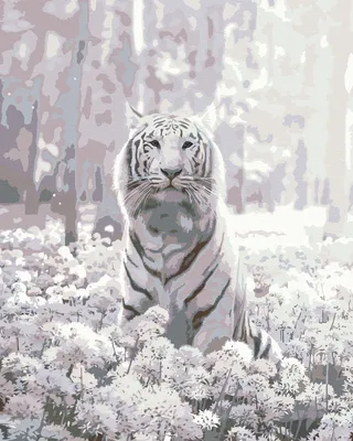 В Московский зоопарк привезли белого тигра - KP.RU