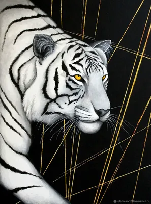 Картина по номерам \"Белый тигр\", в термопакете 40х40см SK023 Стратег купить  - отзывы, цена, бонусы в магазине товаров для творчества и игрушек МаМаЗин