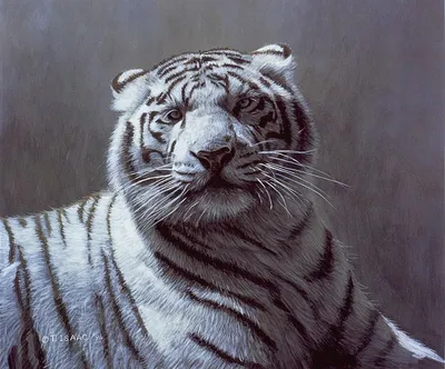 Картина \"Белый тигр и тигренок\" | Интернет-магазин картин \"АртФактор\"