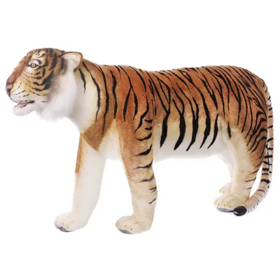 Есть ли разница между бенгальским и амурским тигром | Заметки о животных |  Дзен
