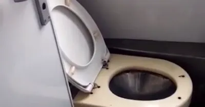 Как называются туалеты в поезде