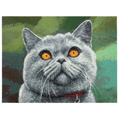 Набор для вырезания папертоли \"Британский кот\" (размер картины в сложенном  состоянии 19*28см) - купить с доставкой по выгодным ценам в  интернет-магазине OZON (826797993)