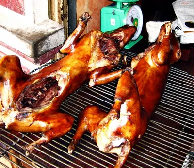 Блюда из мяса собак, рестораны Ханоя | Серия 'Самые отвратительные на вкус  блюда мира'