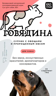 Как отчучить собаку таскать еду со стола? Советы ветеринара - Новости  Тюменского муниципального района