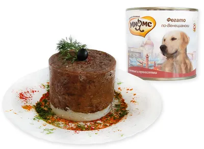 Маленькая собака стоит на задних лапах и просит еду на фоне зеленого поля  Stock Photo | Adobe Stock