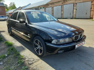 Купить Bmw 5 seriya 1998 года в городе Бобруйск за 2500 у.е. продажа авто  на автомобильной доске объявлений Avtovikyp.by