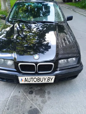 Просто фотографии BMW E36. — BMW 3 series (E36), 2 л, 1997 года |  фотография | DRIVE2