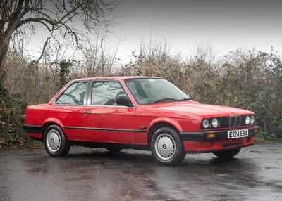File:1983 BMW 316 (15628440180).jpg - Wikimedia Commons