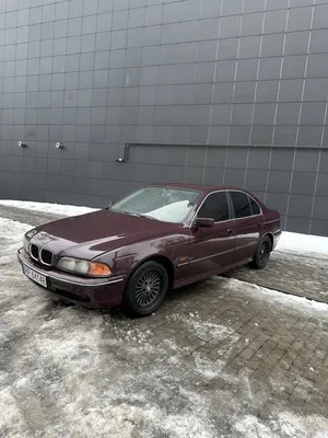 Sleek and Powerful BMW 5-Series (E39)