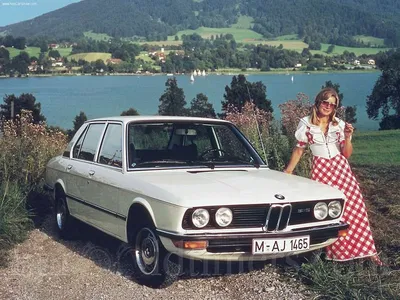 File:BMW 525 rear.jpg - Wikimedia Commons