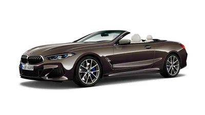 BMW 8 Series Coupe and 2018 Bentley Continental GT as Coupé Segment Halo  Cars