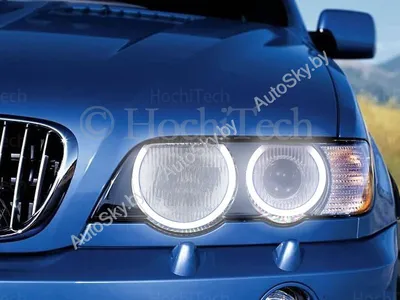 Ангельские глазки BMW 5 F10 G стиль купить с доставкой по Москве - в  интернет-магазине bixenon-shop.ru