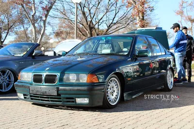 BMW 5 series (E39) 2.5 бензиновый 1996 | Dolphin на DRIVE2