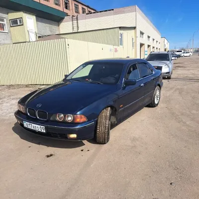 BMW 5 series (E39) 2.5 бензиновый 2000 | Дельфин на DRIVE2