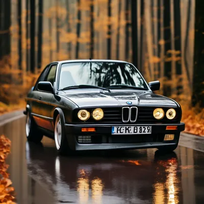 One of most iconic BMW's - E30 M3 : r/BMW